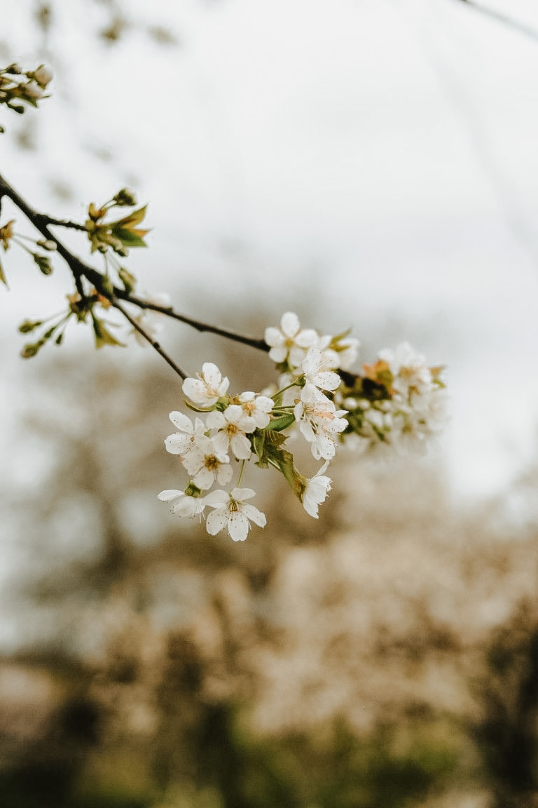 Natürliches Fotoshooting mit Henni Kristin Wiedemann aus Potsdam